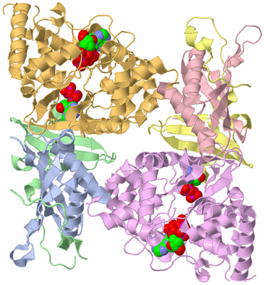 Image Biological Unit 3