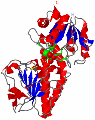 Image Asym./Biol. Unit - sites