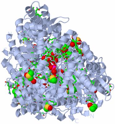 Image Biol. Unit 1 - sites