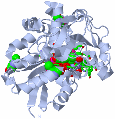 Image Biol. Unit 1 - sites