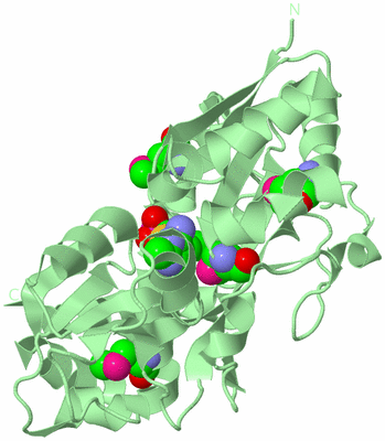 Image Biological Unit 2