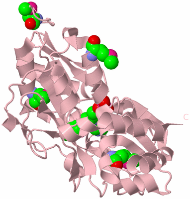 Image Biological Unit 3