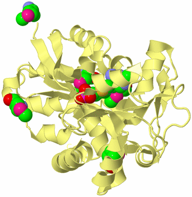 Image Biological Unit 4