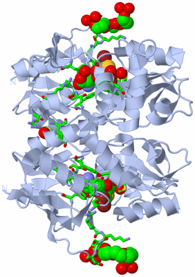 Image Biol. Unit 1 - sites