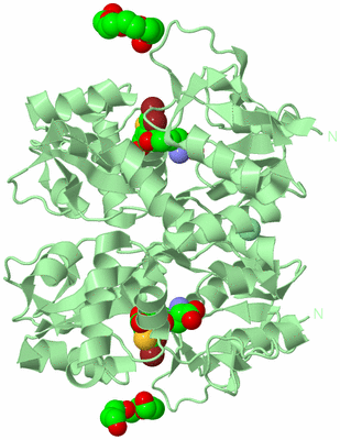 Image Biological Unit 2