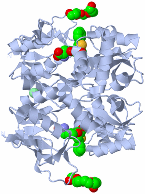 Image Biological Unit 1