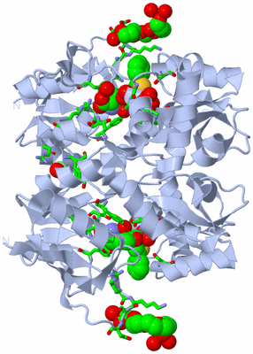 Image Biol. Unit 1 - sites