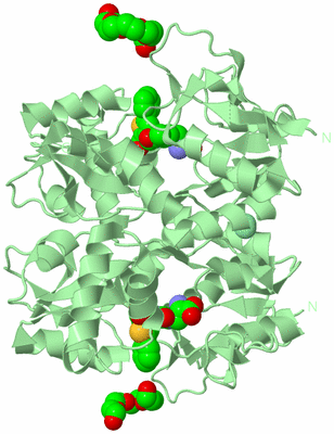 Image Biological Unit 2