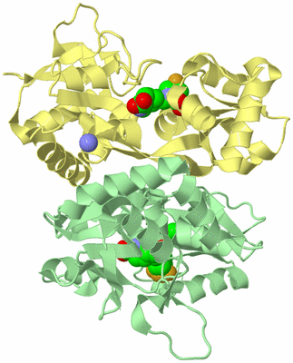 Image Biological Unit 2