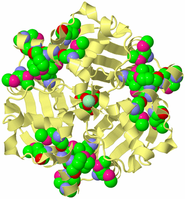 Image Biological Unit 2