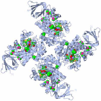 Image Biol. Unit 1 - sites