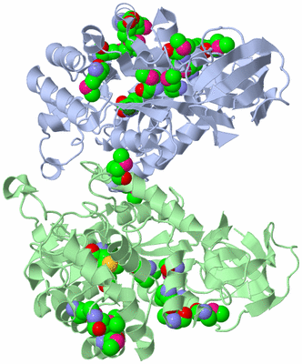 Image Biological Unit 4