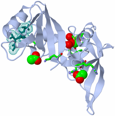 Image Biol. Unit 1 - sites