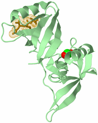 Image Biological Unit 2