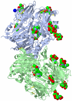 Image Asym./Biol. Unit