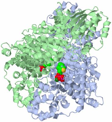 Image Asym./Biol. Unit