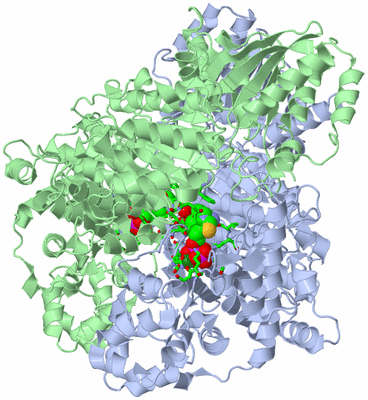 Image Asym./Biol. Unit - sites