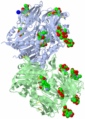 Image Asym./Biol. Unit