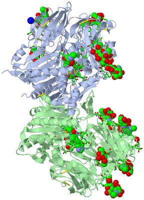 Image Asym./Biol. Unit - sites