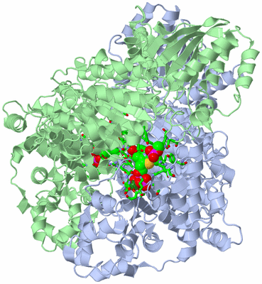 Image Asym./Biol. Unit - sites