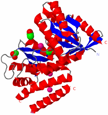 Image Asym./Biol. Unit