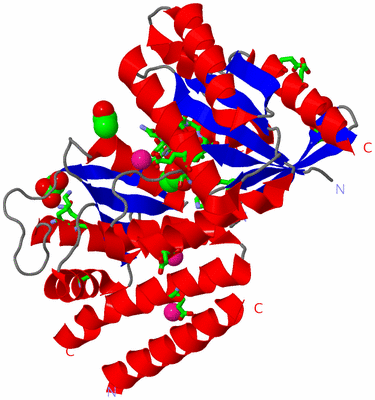 Image Asym./Biol. Unit - sites