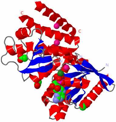 Image Asym./Biol. Unit