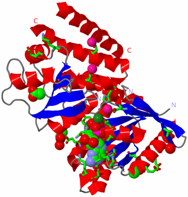 Image Asym./Biol. Unit - sites