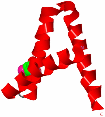 Image Asymmetric Unit