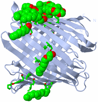 Image Biol. Unit 1 - sites