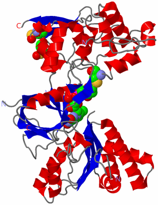 Image Asym./Biol. Unit