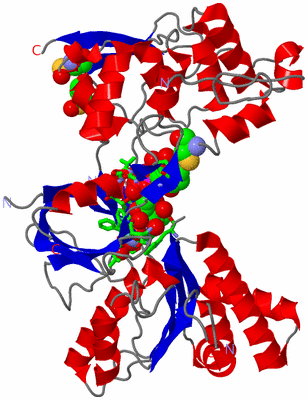 Image Asym./Biol. Unit - sites