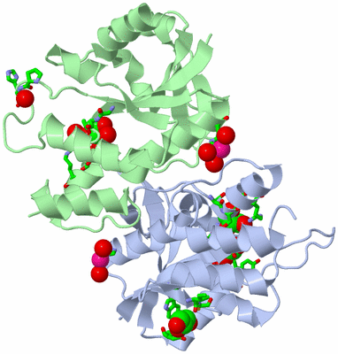 Image Asym./Biol. Unit - sites