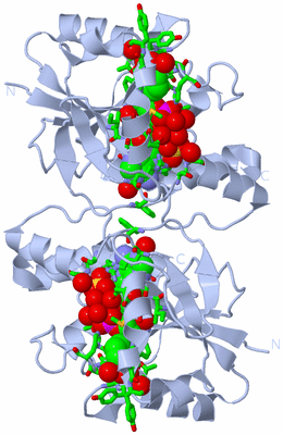 Image Biol. Unit 1 - sites