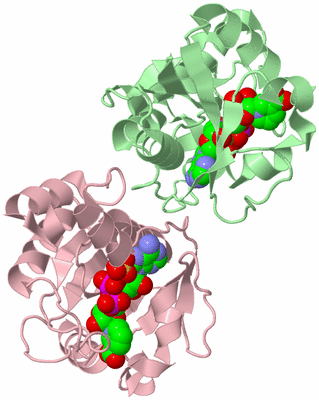 Image Biological Unit 2