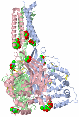 Image Biological Unit 1