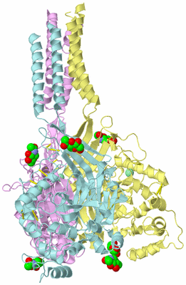 Image Biological Unit 2