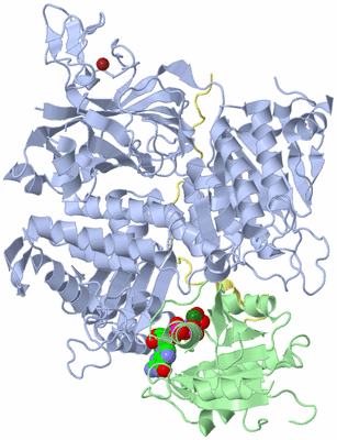 Image Asym./Biol. Unit