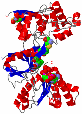 Image Asym./Biol. Unit