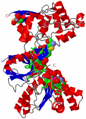 Image Asym./Biol. Unit - sites