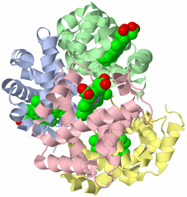 Image Biological Unit 1