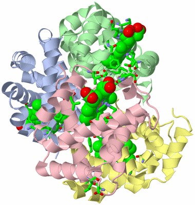 Image Biol. Unit 1 - sites