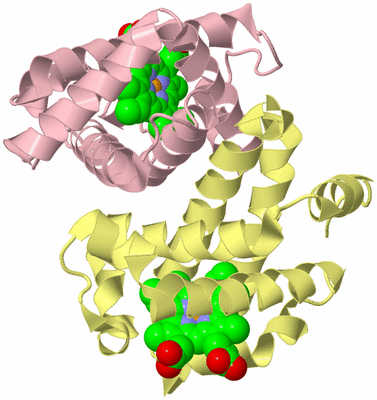 Image Biological Unit 3