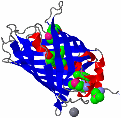 Image Asym./Biol. Unit