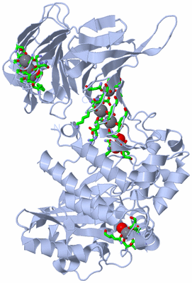 Image Biol. Unit 1 - sites