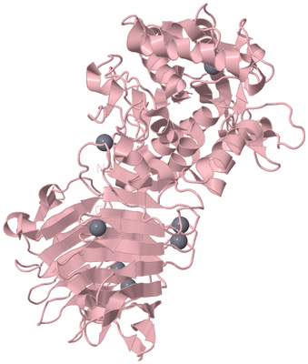 Image Biological Unit 2