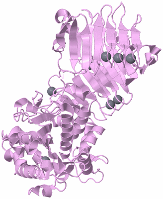 Image Biological Unit 3