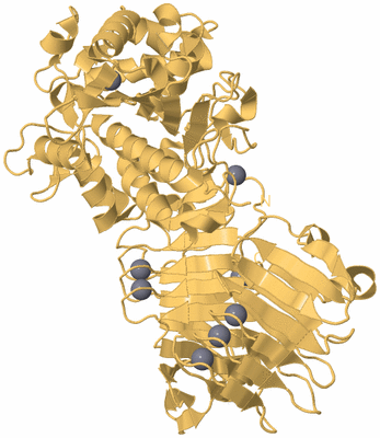 Image Biological Unit 4