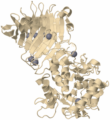 Image Biological Unit 5