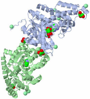 Image Asym./Biol. Unit